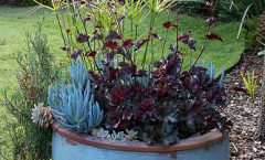 What's Hot for 2015_Garden Trend Report.