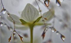 Extending the Season